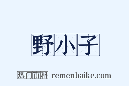 野小子是什么意思的图片